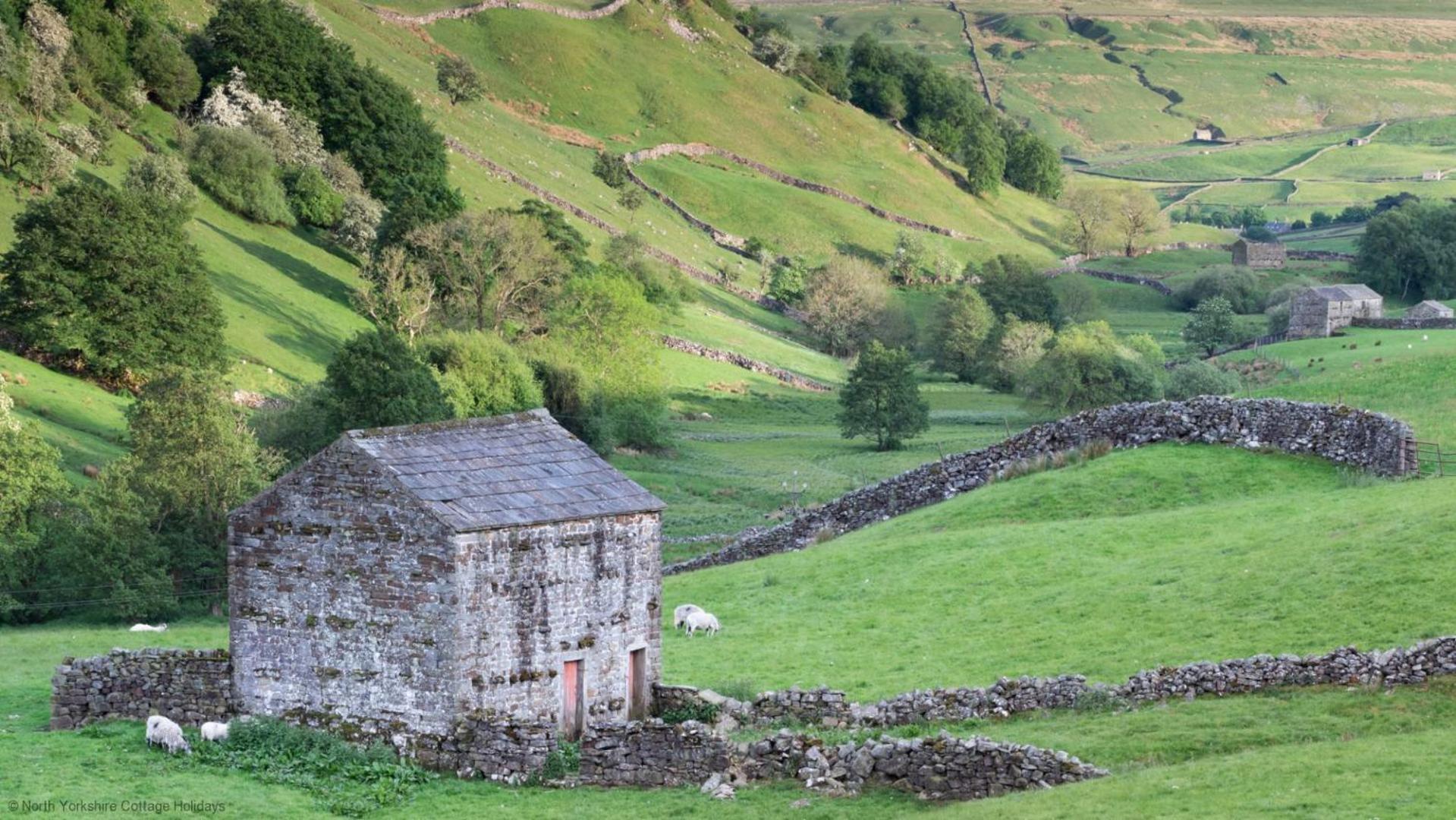 Stone Cottage In Picturesque North Yorkshire Village - Bull Dog Cottage Ampleforth Exteriér fotografie